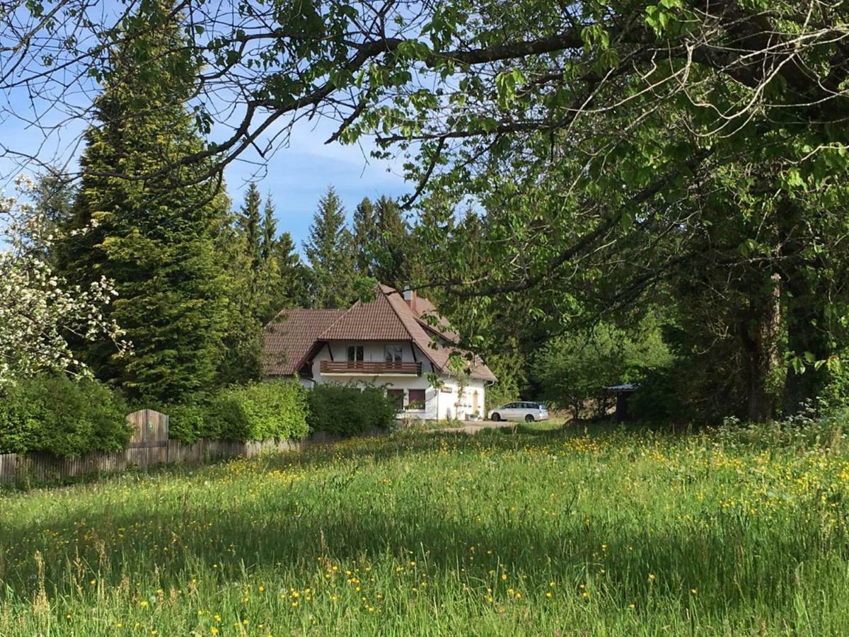 B & B Der Waldvogel Herrischried Bagian luar foto